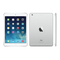 iPad mini 2nd Gen (2013) Wi-Fi.