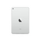 iPad mini 5th Gen (2019) Wi-Fi.