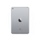iPad mini 5th Gen (2019) Wi-Fi + Cellular.