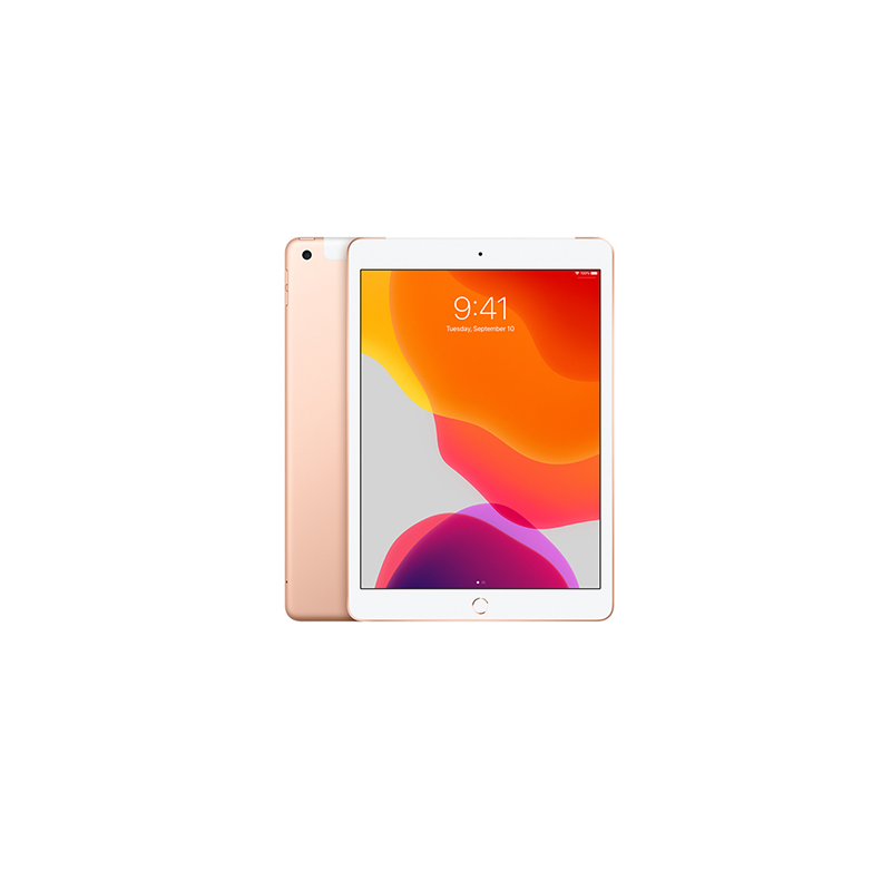 iPad 7th Gen (2019) Wi-Fi + Cellular.