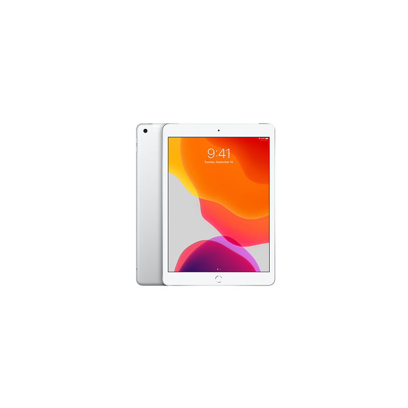 iPad 7th Gen (2019) Wi-Fi + Cellular.